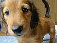 �i�i�����